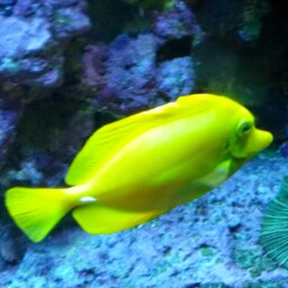 Meet your Posher, Charlotte - Picture 1 of 1